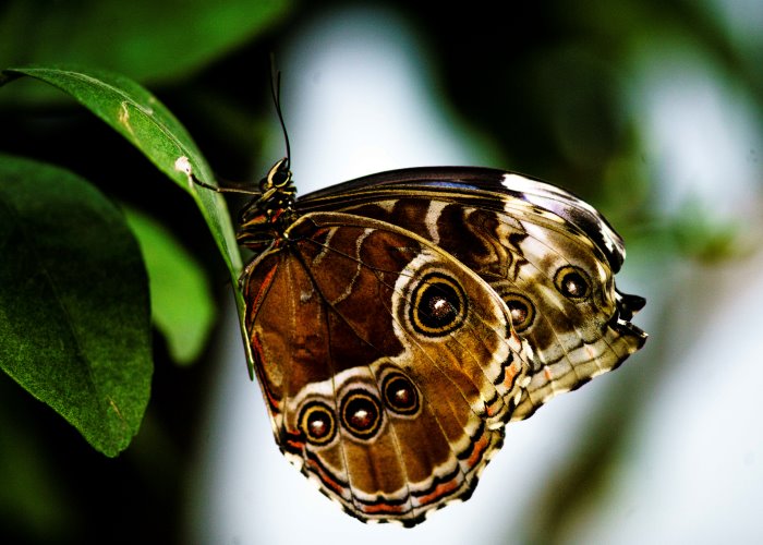Come lavoro con bambini e genitori